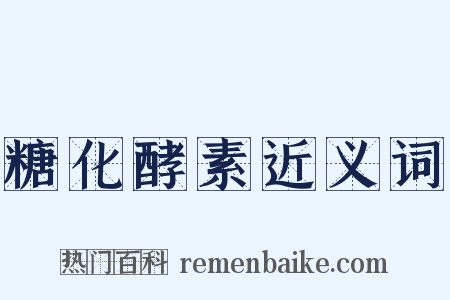 糖化酵素近义词是什么意思的图片